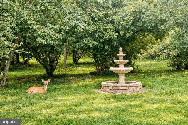 40911 ALYSHEBA DR, Leesburg, VA 20176
