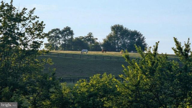 40911 ALYSHEBA DR, Leesburg, VA 20176