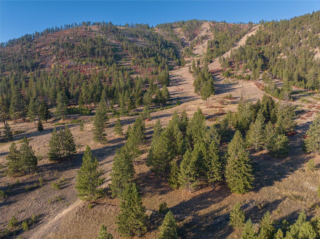 8744 McClain Creek Road, Florence, MT 59833 photo 11