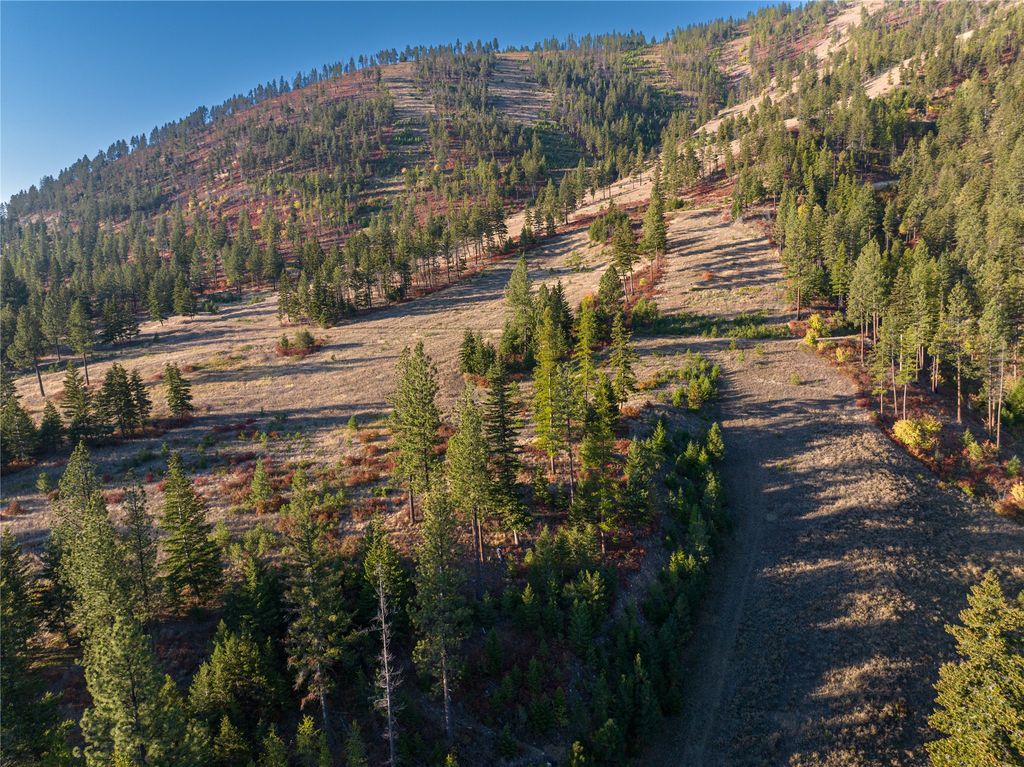 8744 McClain Creek Road, Florence, MT 59833 photo 15