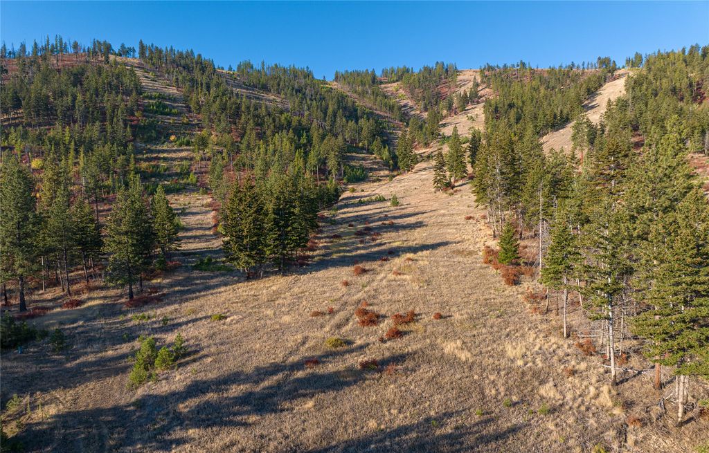 8744 McClain Creek Road, Florence, MT 59833 photo 16