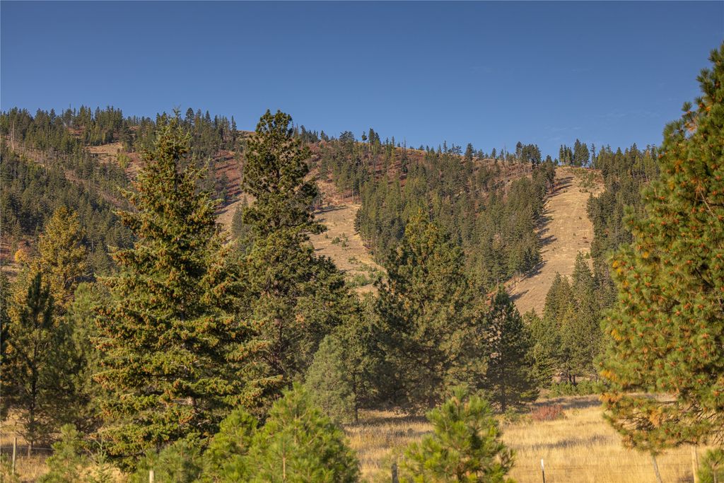 8744 McClain Creek Road, Florence, MT 59833 photo 22