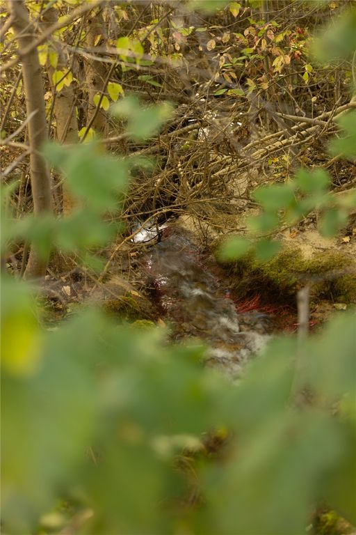8744 McClain Creek Road, Florence, MT 59833 photo 23