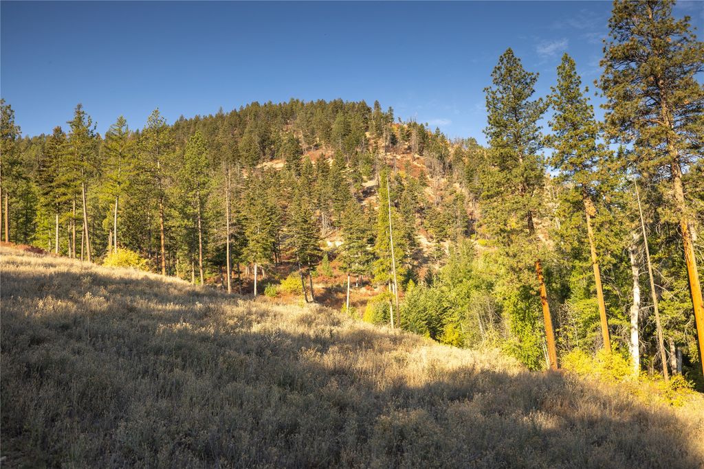 8744 McClain Creek Road, Florence, MT 59833 photo 24