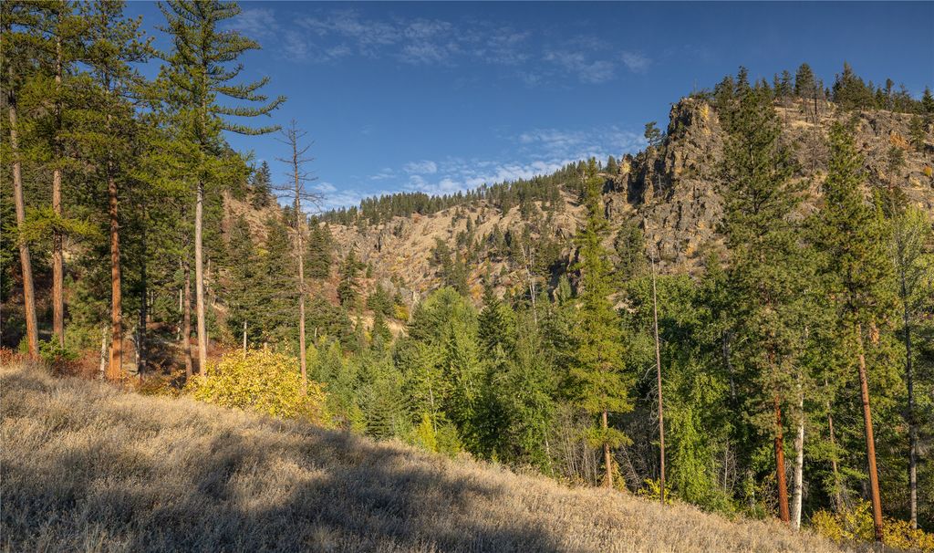 8744 McClain Creek Road, Florence, MT 59833 photo 26
