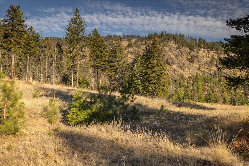 8744 McClain Creek Road, Florence, MT 59833 photo 28