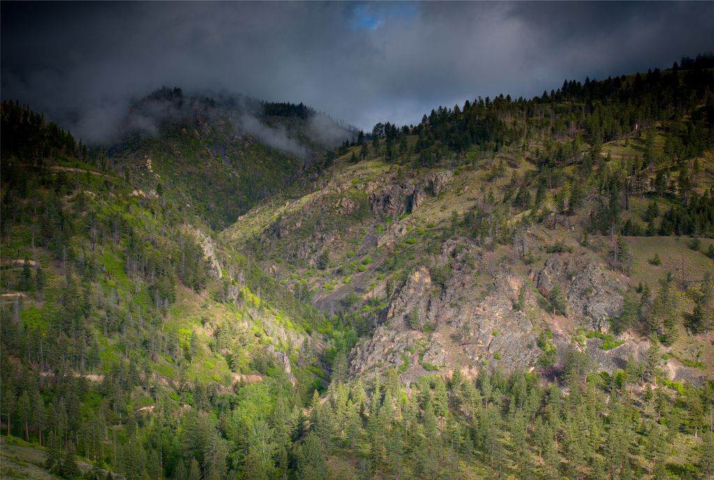 8744 McClain Creek Road, Florence, MT 59833 photo 29
