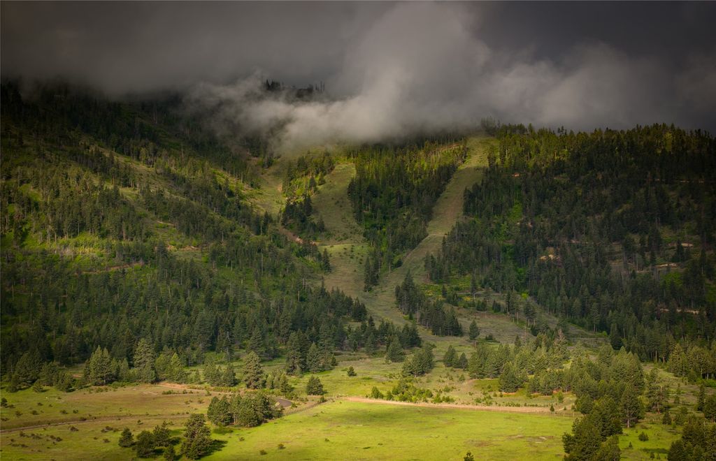 8744 McClain Creek Road, Florence, MT 59833 photo 3