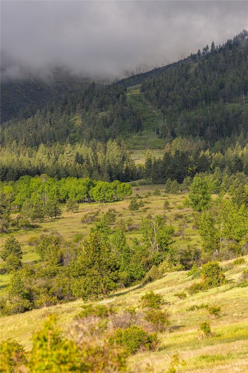 8744 McClain Creek Road, Florence, MT 59833 photo 30