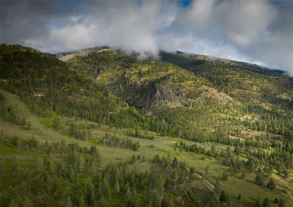 8744 McClain Creek Road, Florence, MT 59833 photo 4