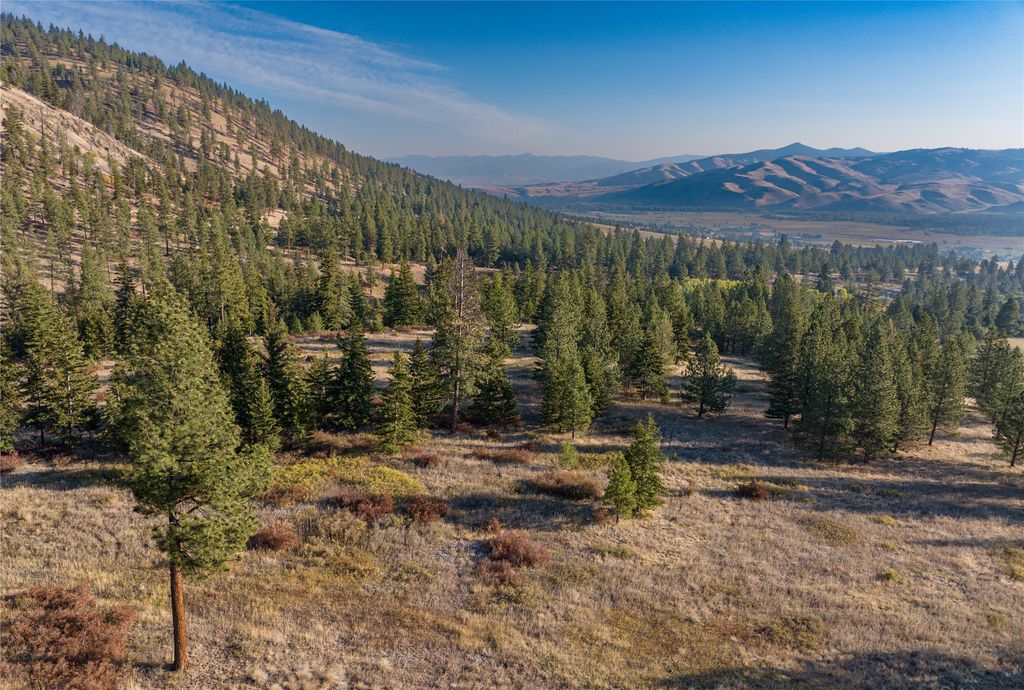 8744 McClain Creek Road, Florence, MT 59833 photo 6