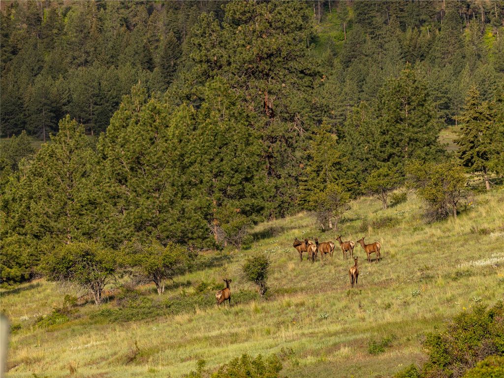 8744 McClain Creek Road, Florence, MT 59833 photo 7