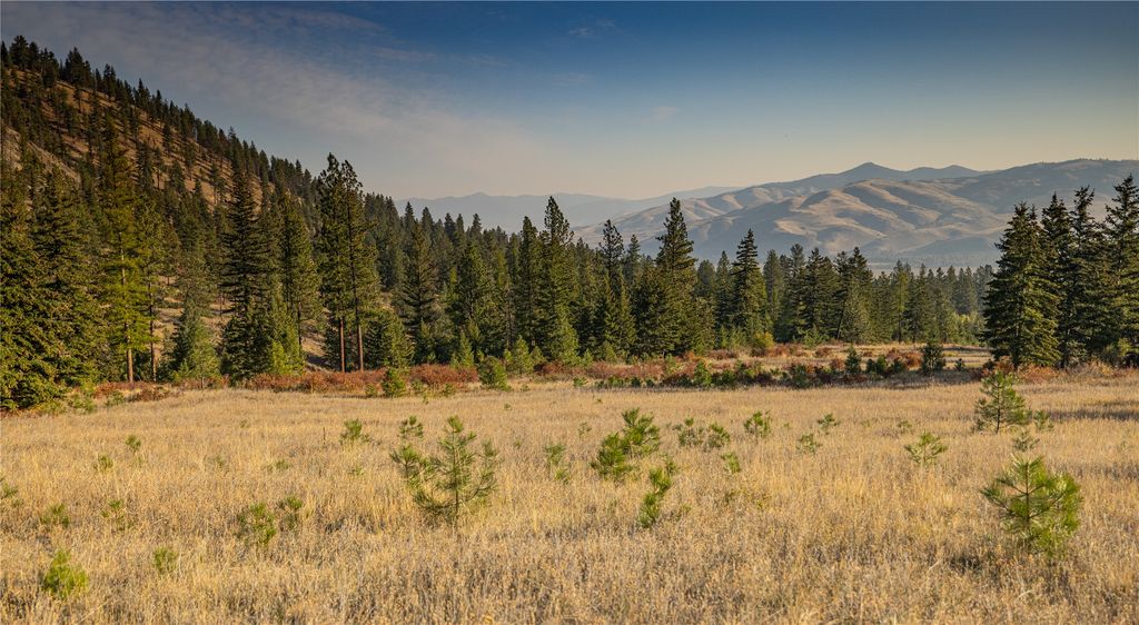 8744 McClain Creek Road, Florence, MT 59833 photo 8