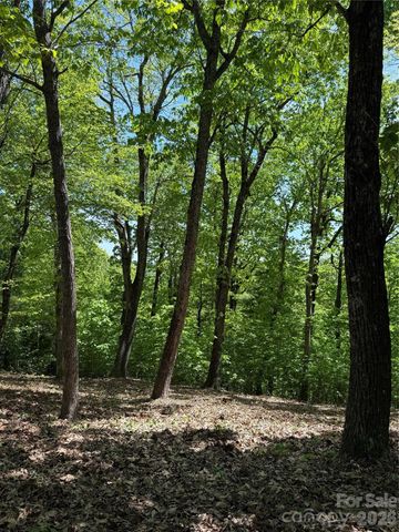 108 Fawncrest Court 51 - R, Flat Rock, NC 28731