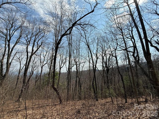 108 Fawncrest Court 51 - R, Flat Rock, NC 28731