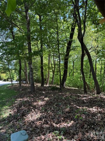 108 Fawncrest Court 51 - R, Flat Rock, NC 28731