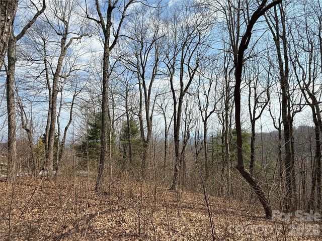 108 Fawncrest Court 51 - R, Flat Rock, NC 28731