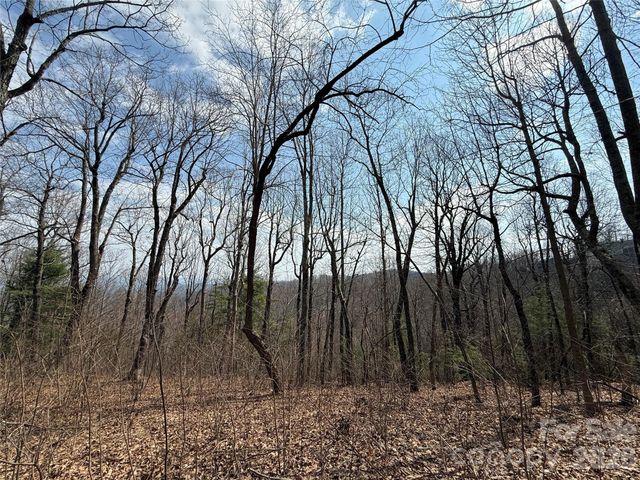 108 Fawncrest Court 51 - R, Flat Rock, NC 28731