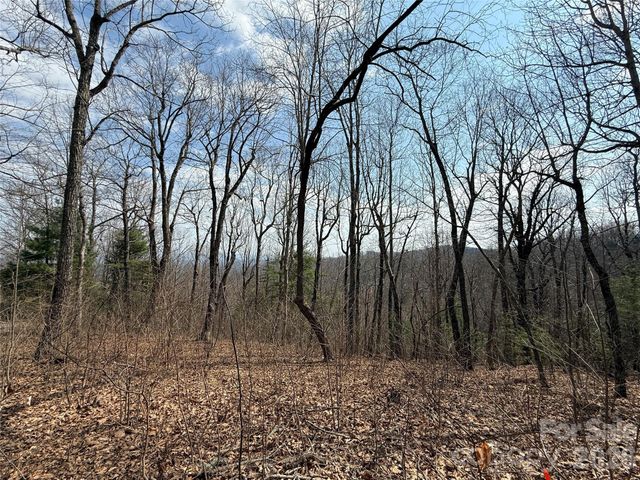 108 Fawncrest Court 51 - R, Flat Rock, NC 28731