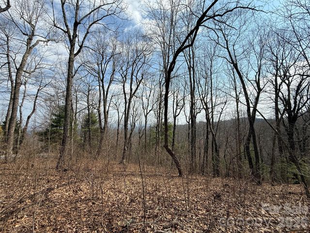 108 Fawncrest Court 51 - R, Flat Rock, NC 28731