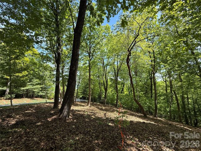108 Fawncrest Court 51 - R, Flat Rock, NC 28731
