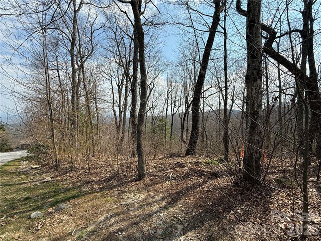 108 Fawncrest Court 51 - R, Flat Rock, NC 28731