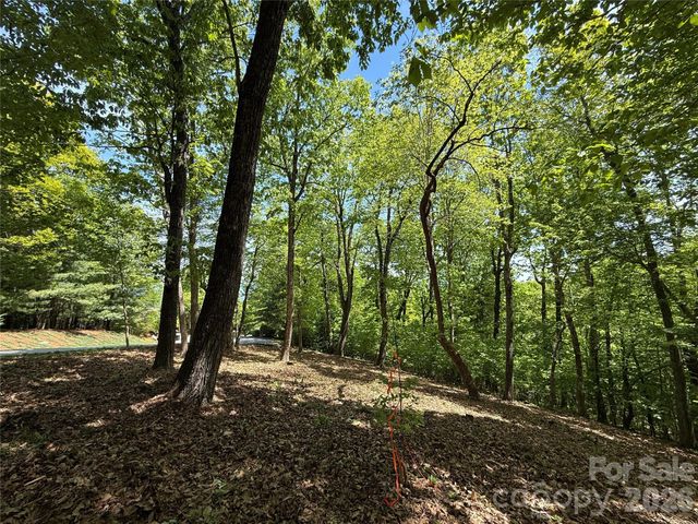 108 Fawncrest Court 51 - R, Flat Rock, NC 28731