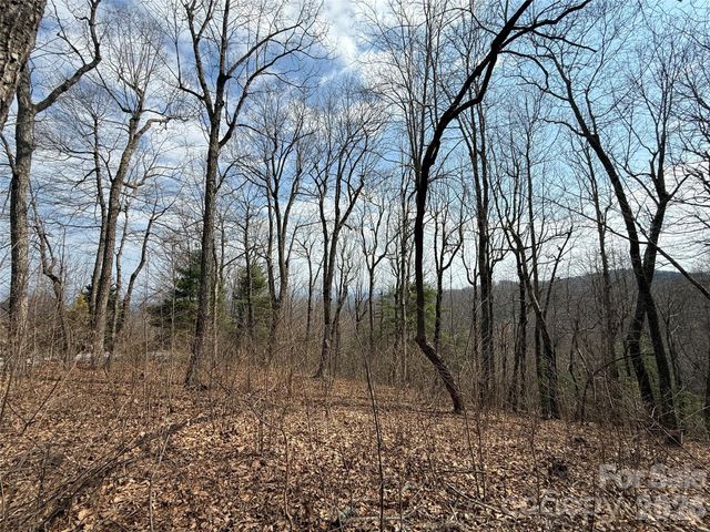 108 Fawncrest Court 51 - R, Flat Rock, NC 28731