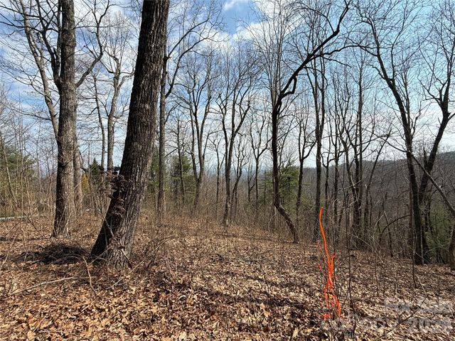 108 Fawncrest Court 51 - R, Flat Rock, NC 28731