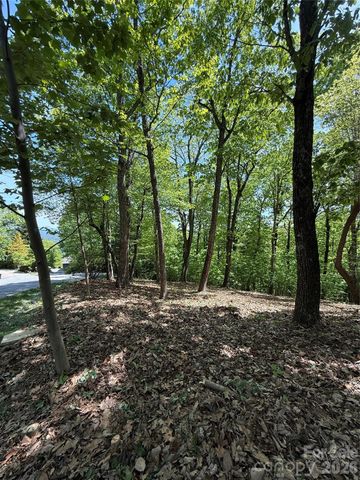 108 Fawncrest Court 51 - R, Flat Rock, NC 28731