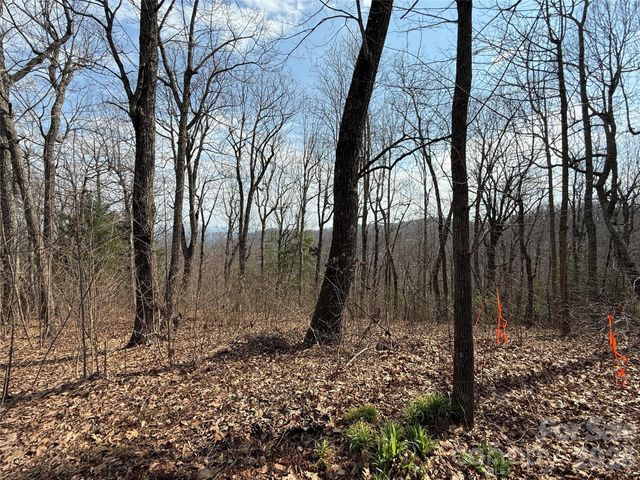 108 Fawncrest Court 51 - R, Flat Rock, NC 28731