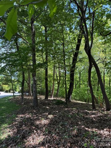 108 Fawncrest Court 51 - R, Flat Rock, NC 28731