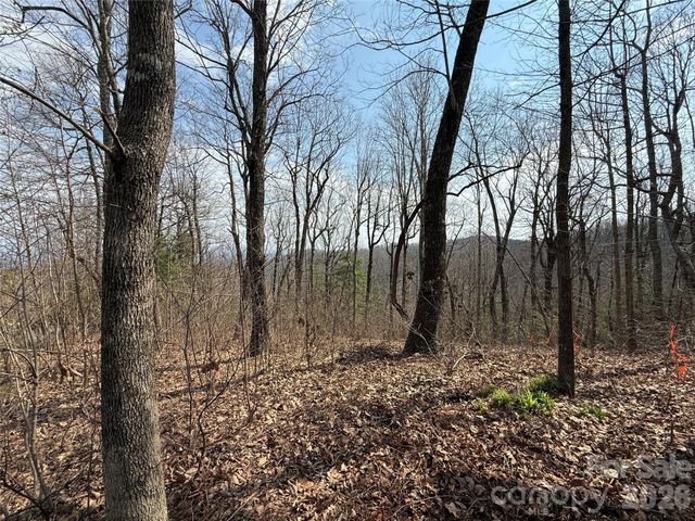 108 Fawncrest Court 51 - R, Flat Rock, NC 28731