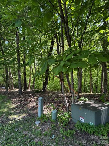 108 Fawncrest Court 51 - R, Flat Rock, NC 28731