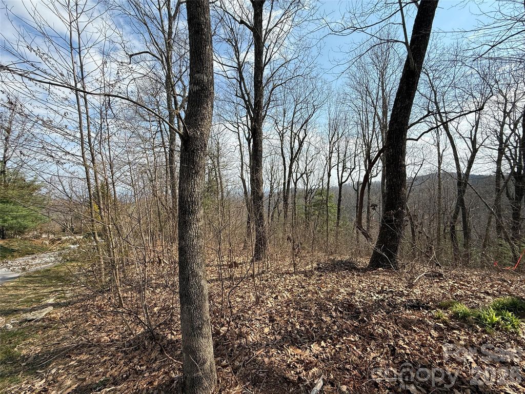 108 Fawncrest Court 51 - R, Flat Rock, NC 28731