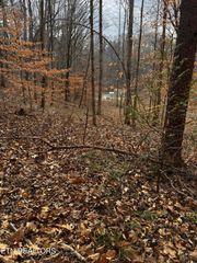 Lot 5 Mel Hall Rd, Maryville, TN 37803