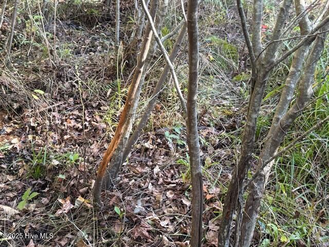 0 Knight Way SE, Winnabow, NC 28479