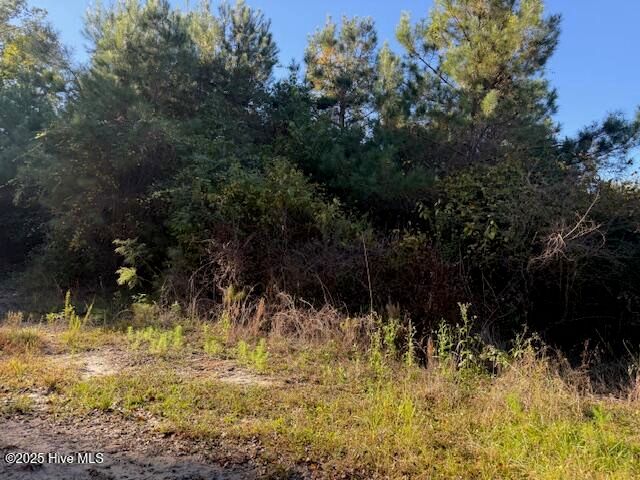 0 Knight Way SE, Winnabow, NC 28479