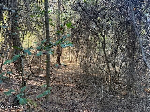 0 Knight Way SE, Winnabow, NC 28479