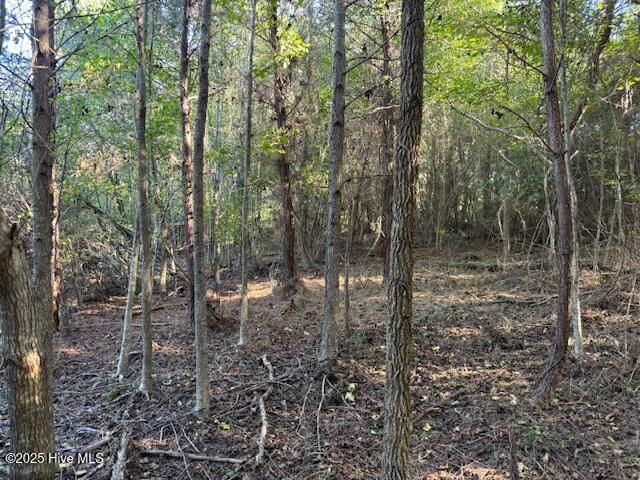 0 Knight Way SE, Winnabow, NC 28479