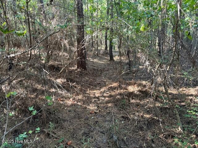 0 Knight Way SE, Winnabow, NC 28479