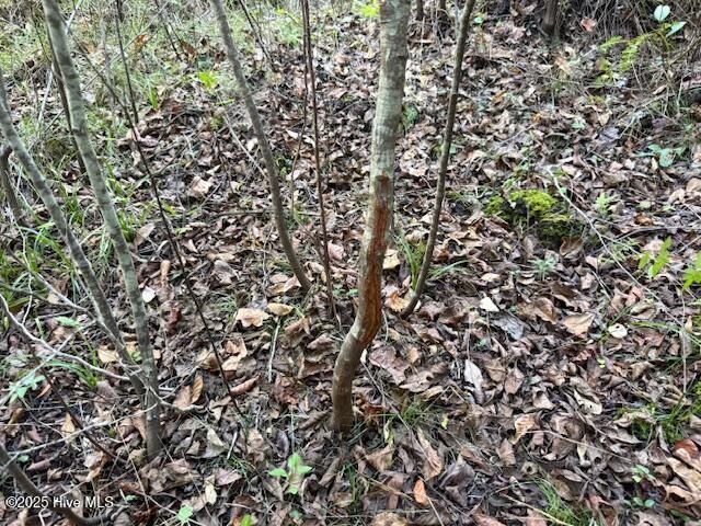 0 Knight Way SE, Winnabow, NC 28479