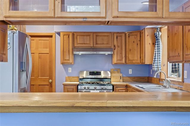1419 Little Bear Creek Road, Idaho Springs, CO 80452