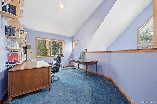 1419 Little Bear Creek Road, Idaho Springs, CO 80452