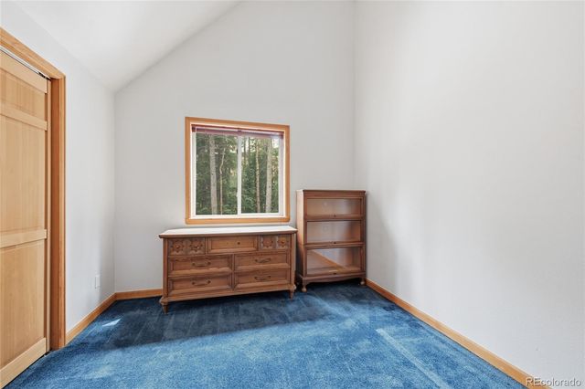 1419 Little Bear Creek Road, Idaho Springs, CO 80452