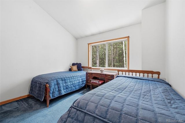 1419 Little Bear Creek Road, Idaho Springs, CO 80452