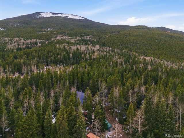 1419 Little Bear Creek Road, Idaho Springs, CO 80452
