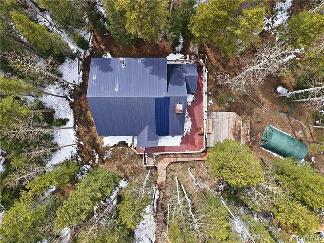 1419 Little Bear Creek Road, Idaho Springs, CO 80452