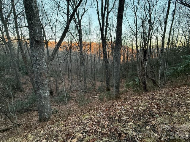 Lot 32 Bear Hollow Road 32, Waynesville, NC 28785
