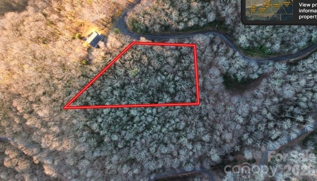 Lot 32 Bear Hollow Road 32, Waynesville, NC 28785